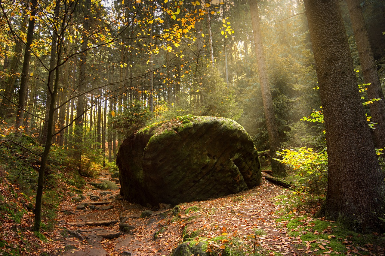 What are Environmental Footprint Calculators?